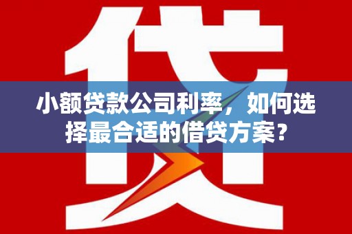 成华小额贷款公司利率，如何选择最合适的借贷方案？
