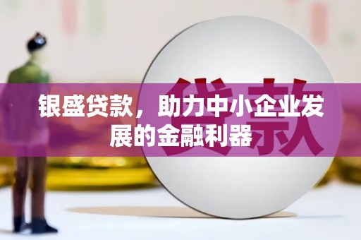 成华银盛贷款，助力中小企业发展的金融利器