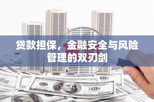 成华贷款担保，金融安全与风险管理的双刃剑