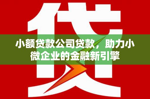 成华小额贷款公司贷款，助力小微企业的金融新引擎