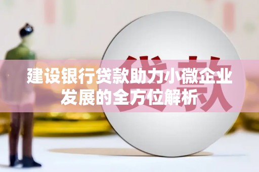 成华建设银行贷款助力小微企业发展的全方位解析
