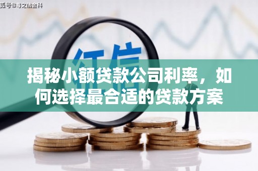 成华揭秘小额贷款公司利率，如何选择最合适的贷款方案