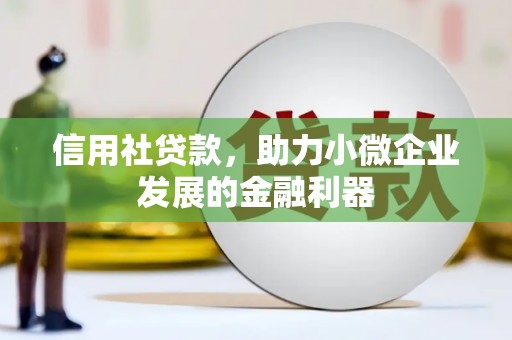 成华信用社贷款，助力小微企业发展的金融利器