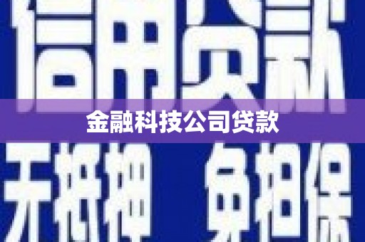 成华金融科技公司贷款