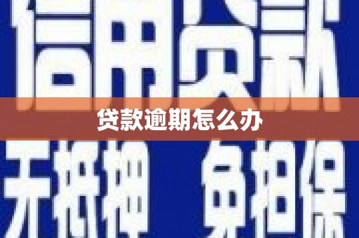 成华贷款逾期怎么办