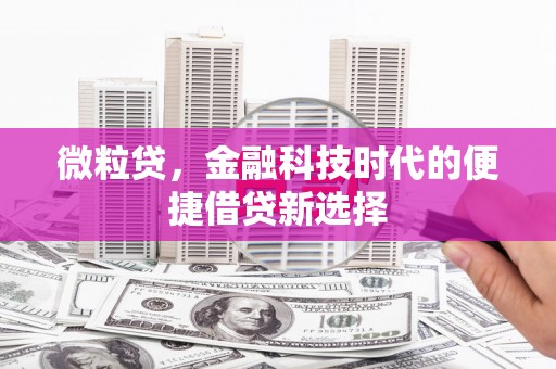 成华微粒贷，金融科技时代的便捷借贷新选择
