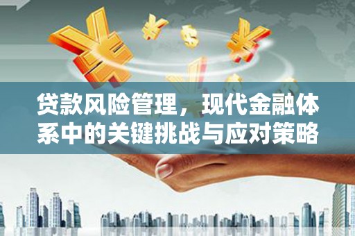 成华贷款风险管理，现代金融体系中的关键挑战与应对策略