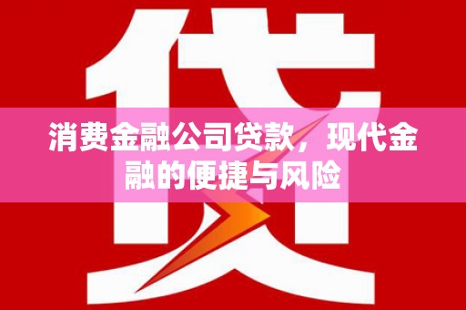 成华消费金融公司贷款，现代金融的便捷与风险