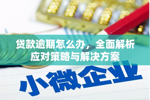 成华贷款逾期怎么办，全面解析应对策略与解决方案