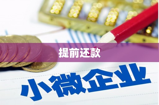 成华提前还款