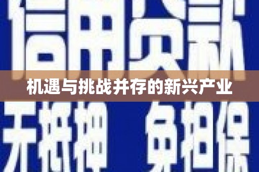成华机遇与挑战并存的新兴产业