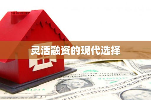 成华灵活融资的现代选择