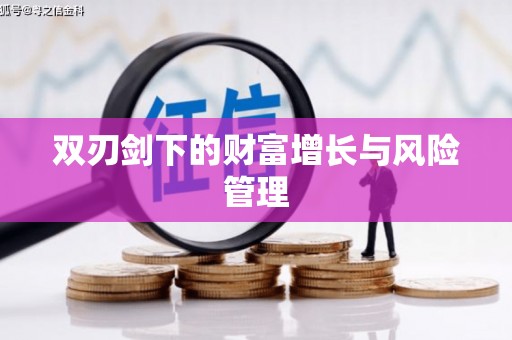 成华双刃剑下的财富增长与风险管理