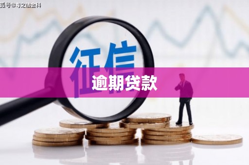 成华逾期贷款