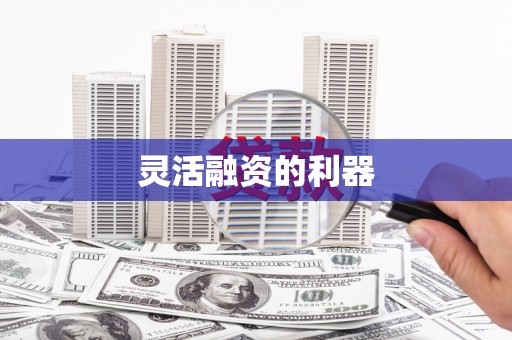 成华灵活融资的利器
