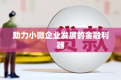 成华助力小微企业发展的金融利器