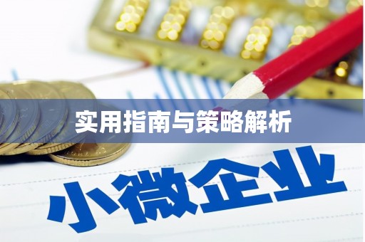 成华实用指南与策略解析