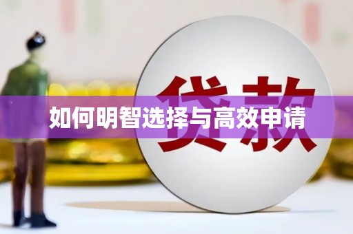 成华如何明智选择与高效申请