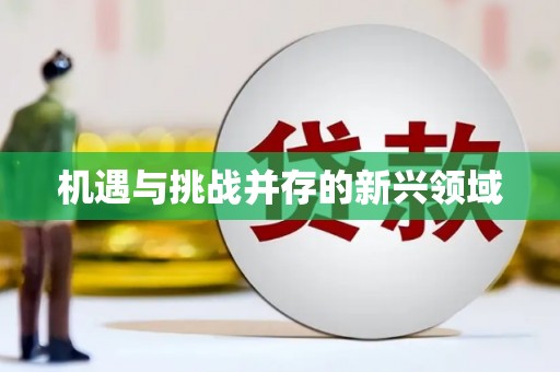 成华机遇与挑战并存的新兴领域