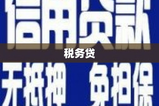成华税务贷