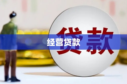 成华经营贷款