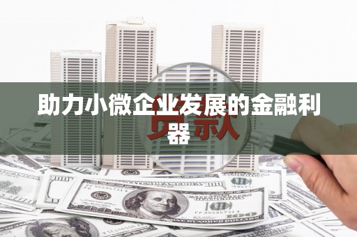 成华助力小微企业发展的金融利器