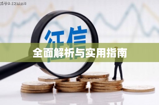 成华全面解析与实用指南