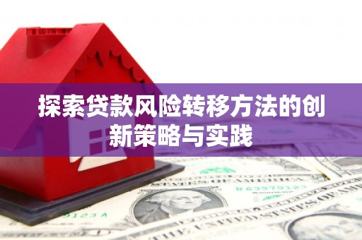 成华探索贷款风险转移方法的创新策略与实践